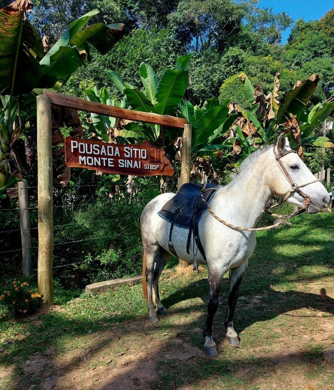 Pousada Sitio Monte Sinai Sao Jose do Barreiro  Ngoại thất bức ảnh
