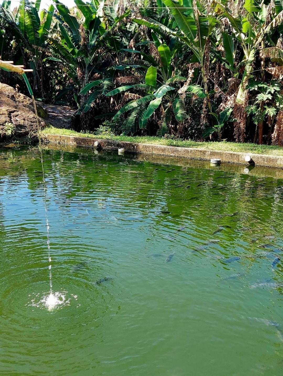 Pousada Sitio Monte Sinai Sao Jose do Barreiro  Ngoại thất bức ảnh