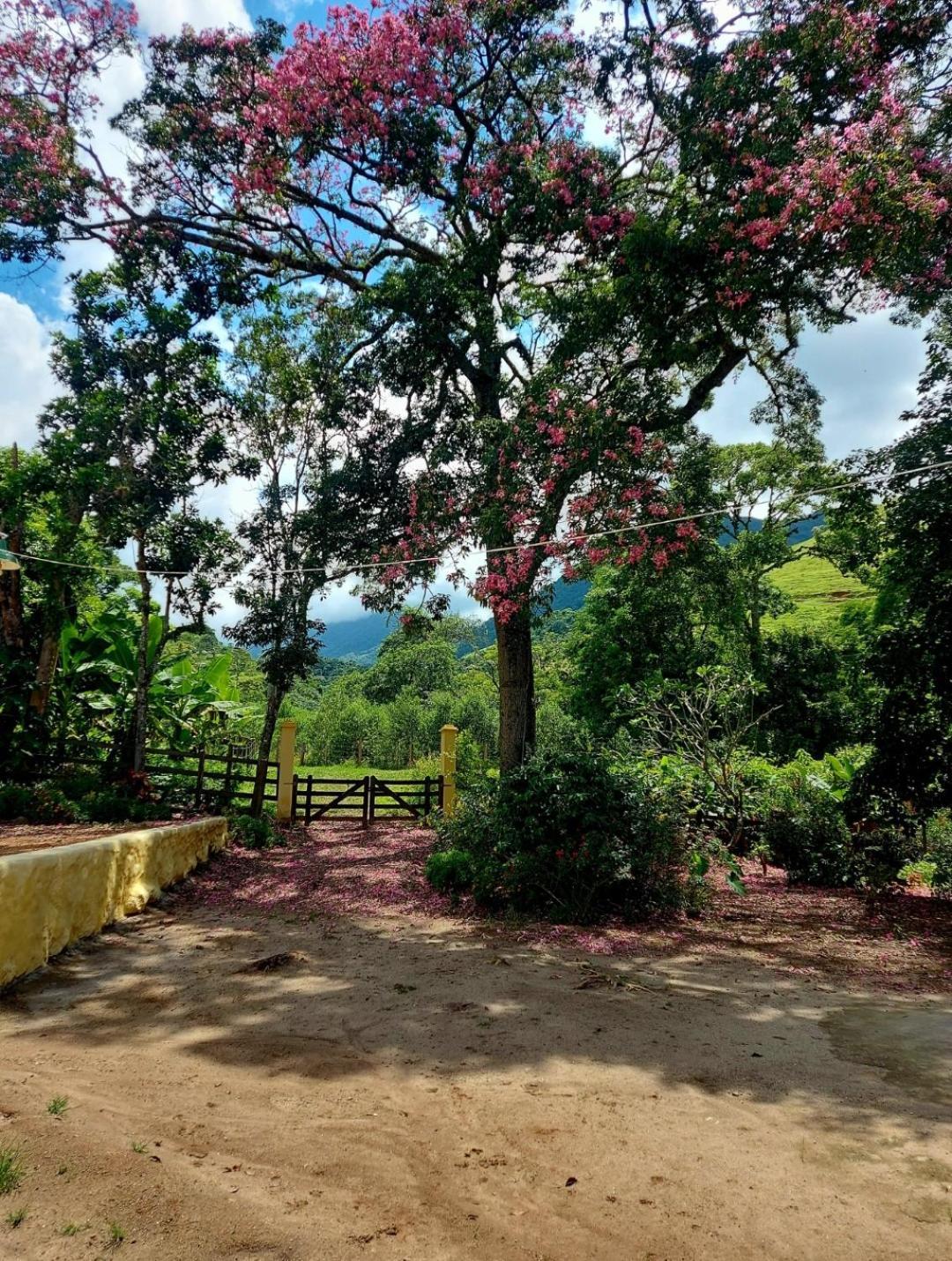 Pousada Sitio Monte Sinai Sao Jose do Barreiro  Ngoại thất bức ảnh